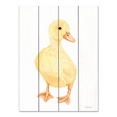 RN531PAL - Adorable Fluffy Duckling - 12x16
