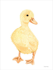 RN531 - Adorable Fluffy Duckling - 12x16