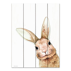 RN532PAL - Fluffy Peekaboo Bunny - 12x16