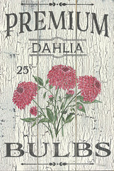 SAW107 - Dahlia Bulbs - 12x18