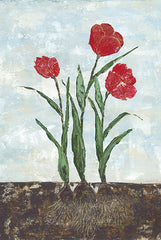 SAW116 - Red Tulips - 12x18