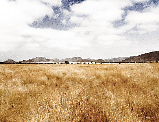 Susan Ball SB1116 - SB1116 - Meadow - 16x12 Photography, Landscape, Field, Fall from Penny Lane