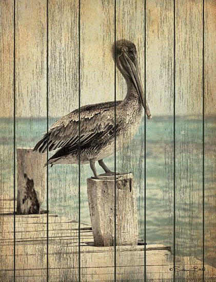 Susan Ball SB684 - SB684 - Vintage Pelican I  - 12x16 Vintage, Photography, Pelican, Ocean, Pier, Nautical from Penny Lane