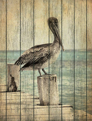 SB684 - Vintage Pelican I  - 12x16