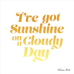 SB740 - I've Got Sunshine on a Cloudy Day II - 12x12