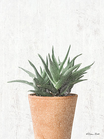 Susan Ball SB758 - SB758 - Succulents I    - 12x16 Succulents, Photography, Potted Plant from Penny Lane