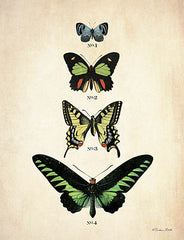 SB887 - Butterflies 1     - 12x16