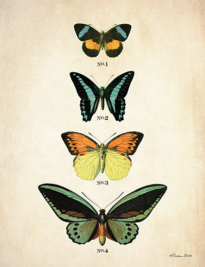 Susan Ball SB888 - SB888 - Butterflies 2    - 12x16 Butterflies, Labeled Butterflies, Insects, Specimen Display from Penny Lane