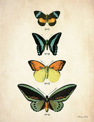SB888 - Butterflies 2    - 12x16