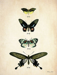 SB889 - Butterflies 3      - 12x16