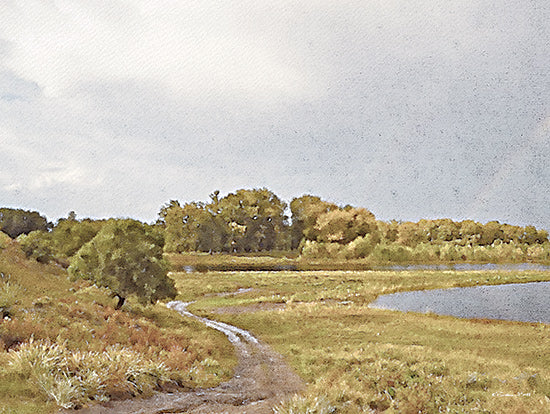 Susan Ball SB963 - SB963 - By the Pond - 16x12 Landscape, Lake, Path, Trees, Earth Tones, Countryside from Penny Lane