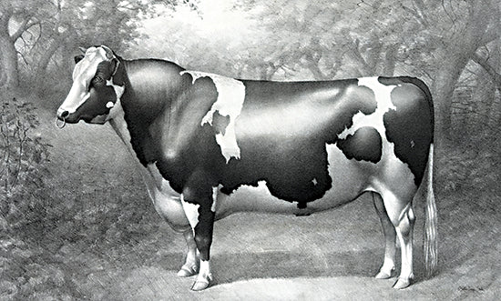 Stellar Design Studio SDS1029 - SDS1029 - The Bull - 18x12 Bull, Male Cow, Sideview, Farm Animal, Black & White, Trees from Penny Lane