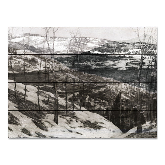 Stellar Design Studio SDS1036PAL - SDS1036PAL - Tree Top Lake - 16x12 Photography, Winter, Landscape, Mountains, Trees, Black & White from Penny Lane