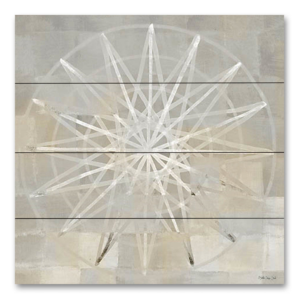 Stellar Design Studio SDS1040PAL - SDS1040PAL - Illusion 2 - 12x12 Abstract, Geometric Shapes, Starburst, Contemporary, Neutral Palette from Penny Lane