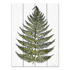 SDS1055PAL - Leaf Sketch - 12x16