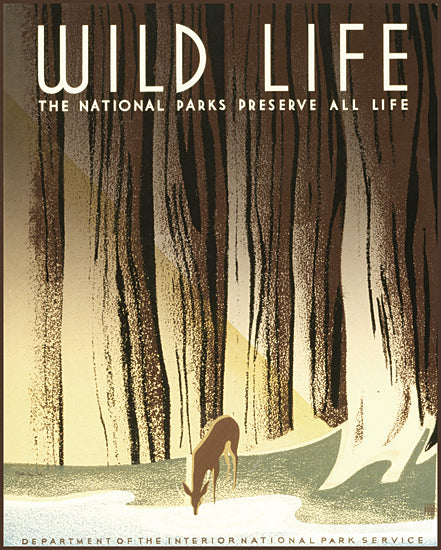 Stellar Design Studio SDS1065 - SDS1065 - Wild Life - 12x16 Wild Life, Deer, Poster, National Parks, Trees, Abstract, Typography, Signs from Penny Lane