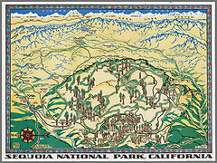 SDS1135 - Sequoia National Park Map - 16x12