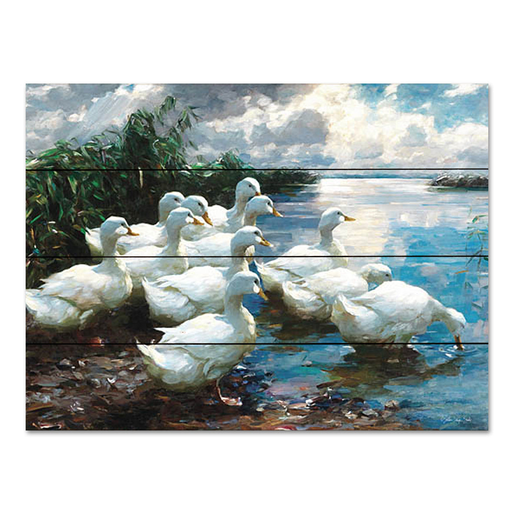 Stellar Design Studio SDS1176PAL - SDS1176PAL - Ducks by the Lake 1 - 16x12 Ducks, Lake, Landscape, Summer, Traditional, Raft of Ducks from Penny Lane