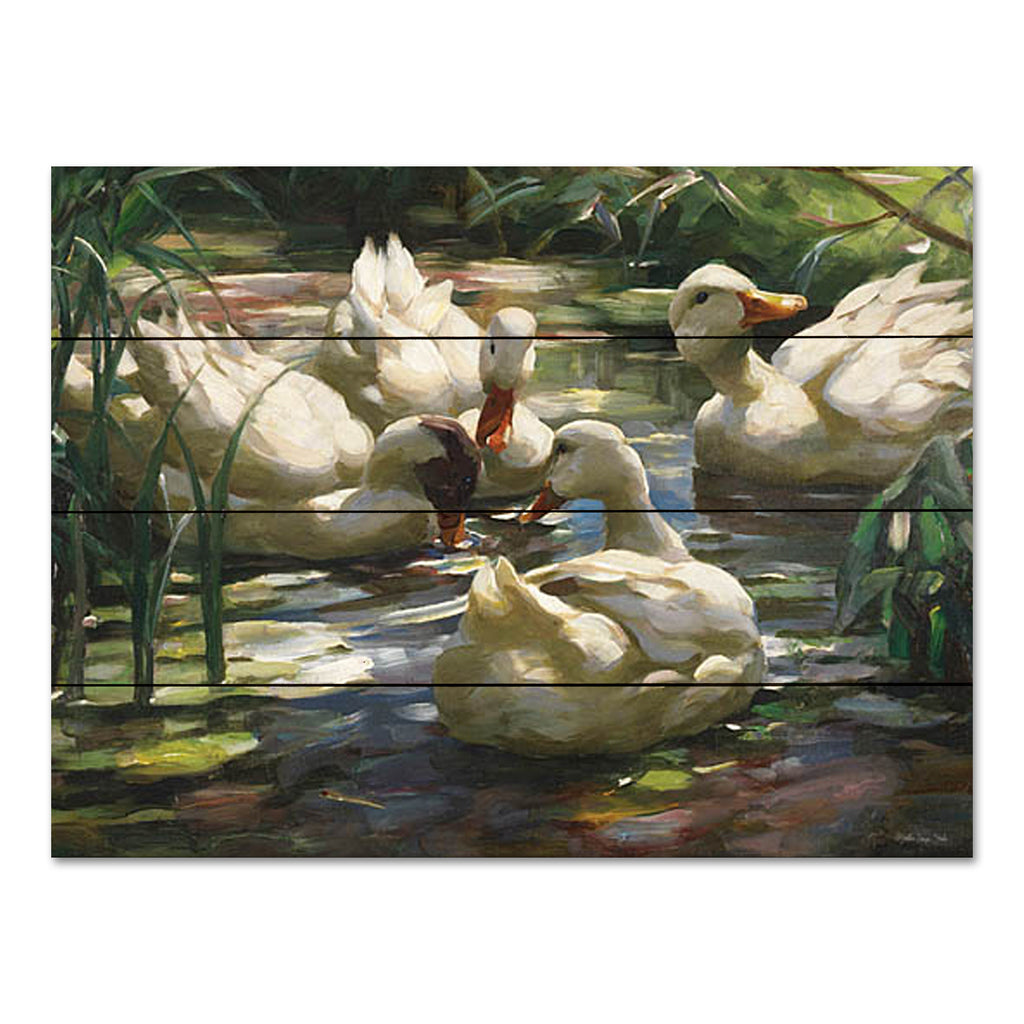 Stellar Design Studio SDS1179PAL - SDS1179PAL - Ducks by the Lake 4 - 16x12 Ducks, Lake, Landscape, Summer, Traditional, Raft of Ducks from Penny Lane