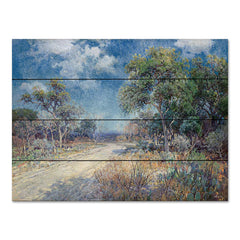 SDS1194PAL - Road to the Hills - 16x12