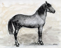 SDS130 - Horse Study 1 - 16x12