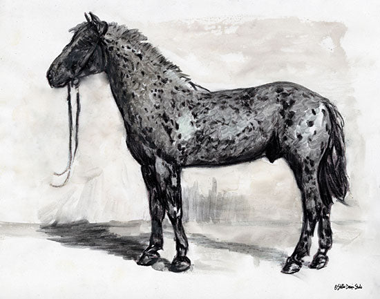 Stellar Design Studio SDS131 - SDS131 - Horse Study 2 - 16x12 Horse, Portrait, Black & White, Drawing from Penny Lane