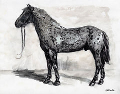 SDS131 - Horse Study 2 - 16x12