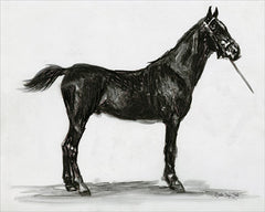 SDS132 - Horse Study 3 - 16x12