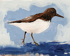 SDS1331 - Sandpiper 1 - 16x12