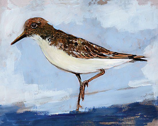 Stellar Design Studio SDS1332 - SDS1332 - Sandpiper 2 - 16x12 Coastal, Coastal Birds, Bird, Sandpiper, Abstract, Watercolor from Penny Lane