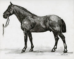 SDS133 - Horse Study 4 - 16x12
