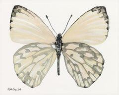 SDS160 - Butterfly 2 - 16x12