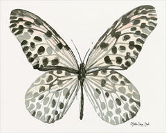 SDS161 - Butterfly 3 - 16x12