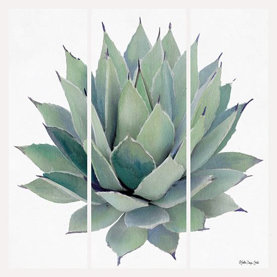 Stellar Design Studio SDS236 - SDS236 - Agave Triptych 2 - 12x12 Triptych, Agave, Greenery, Still Life from Penny Lane