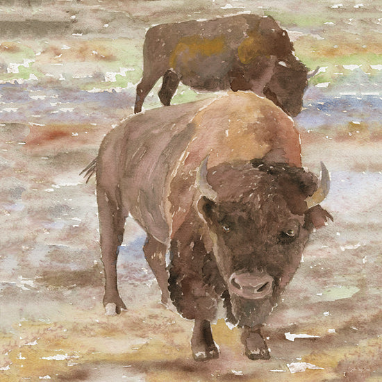 Stellar Design Studio SDS252 - SDS252 - Great Buffalo - 12x12 Great Buffalo, Portrait from Penny Lane