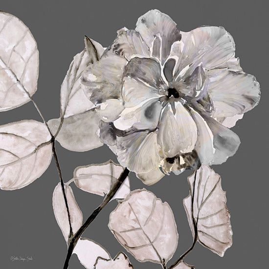 Stellar Design Studio SDS270 - SDS270 - Floral in Gray 1 - 12x12 Photography, Flower, Gray, Still Life from Penny Lane