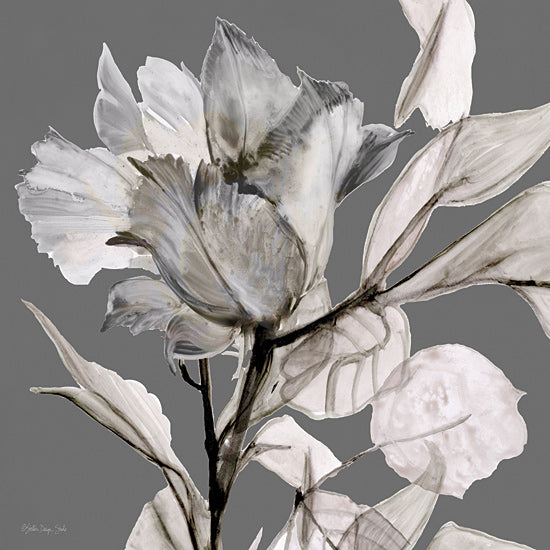 Stellar Design Studio SDS271 - SDS271 - Floral in Gray 2 - 12x12 Photography, Flower, Gray, Still Life from Penny Lane