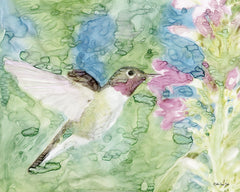 SDS274 - Hummingbird 1 - 16x12