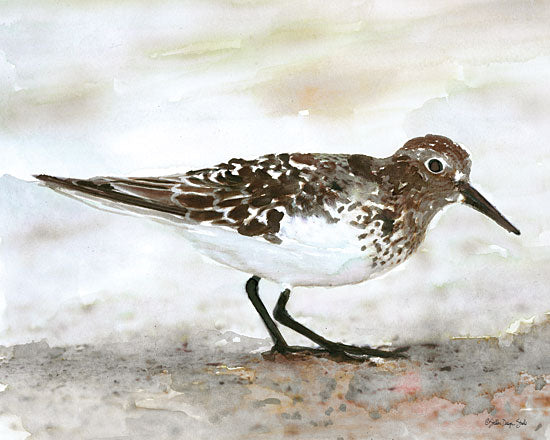 Stellar Design Studio SDS295 - SDS295 - Sandpiper 1 - 16x12 Portrait, Bird, Sandpiper from Penny Lane