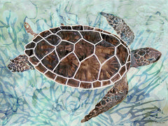 SDS299 - Sea Turtle Collage 1 - 16x12