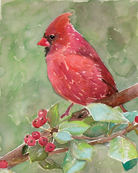 Stellar Design Studio SDS337 - SDS337 - Cardinal 2 - 12x16 Birds, Cardinal, Berries, Tree Branch from Penny Lane