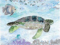 SDS346 - Swimming Sea Turtle - 16x12