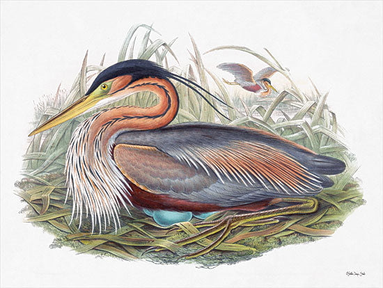 Stellar Design Studio SDS392 - SDS392 - Goulds Coastal Bird II - 16x12 Goulds, Florida, Birds, Nest, Eggs, Coastal, Heron from Penny Lane