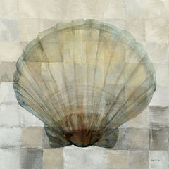 SDS416 - Scallop Shell - 12x12