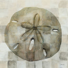 SDS417 - Sand Dollar - 12x12