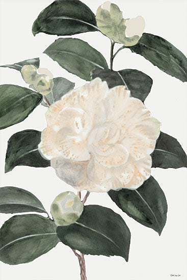 Stellar Design Studio SDS448 - SDS448 - White Botanical III - 12x18 White Flowers, Portrait, Nature from Penny Lane