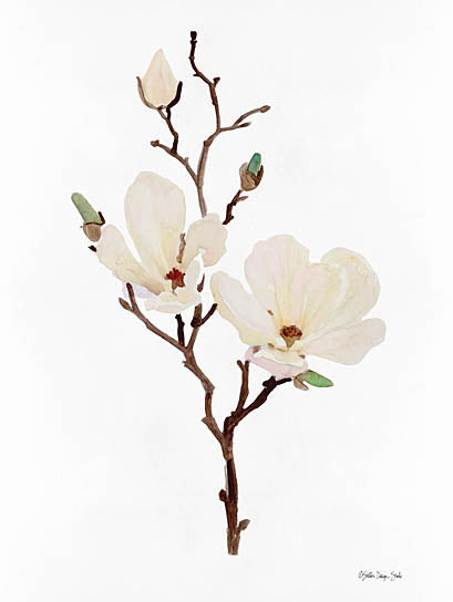 Stellar Design Studio SDS469 - SDS469 - Magnolia - 12x16 Magnolias, Branch, Portrait from Penny Lane