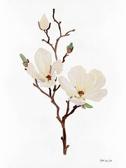 SDS469 - Magnolia - 12x16