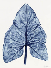 SDS478 - Indigo Leaf - 12x16