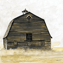 SDS495 - Country Barn - 12x12